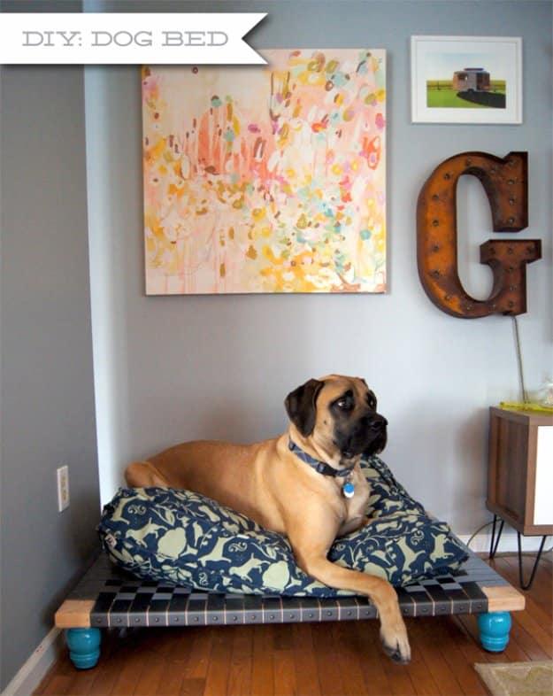 DIY Dog Bed for Large Breeds, a cozy pet nook, forgiving enough for shaky first cuts and a statement worth the extra effort