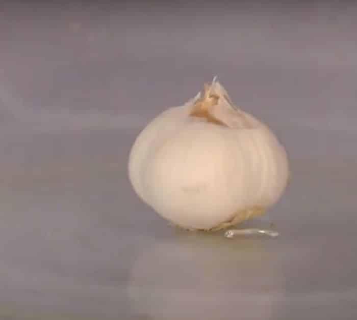 How to Easily Peel Garlic