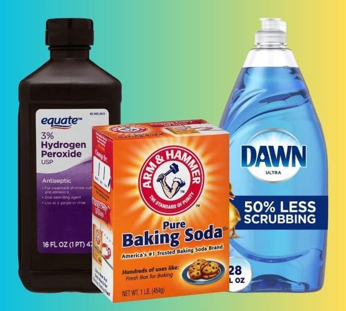 Easy Way to Get Rid of Mites