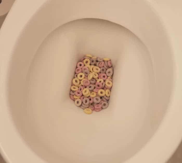 How to Flush Toilet Without Water
