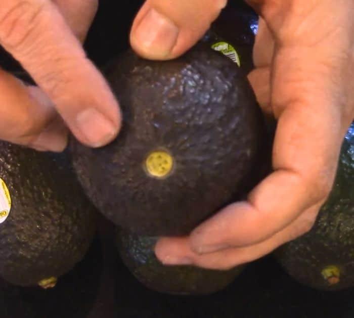 How Do You Know If an Avocado is Bad