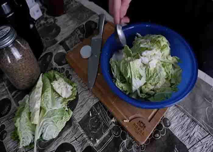Lacto-fermenting the cabbage to make sauerkraut