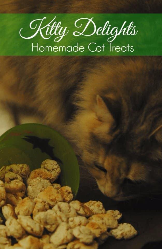Kitty Delight Homemade Cat Treats, a homemade pet treat, simple enough to whip up with pantry basics