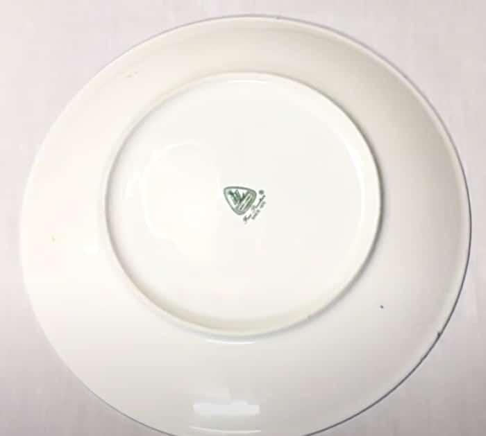 Make A Breathable Face Mask BY Using A Plate As A Pattern