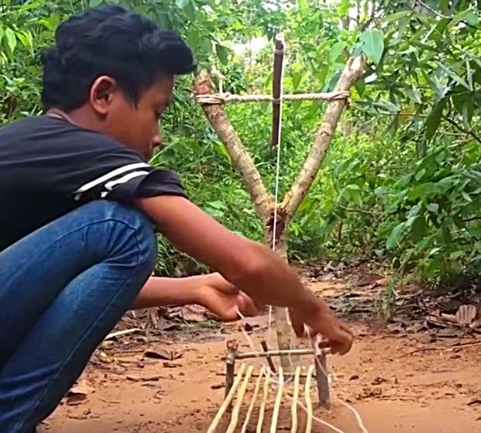 Snare a wild piglet in Viet Nam