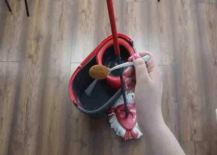Adding ground cinnamon to the bucket of your floor mop