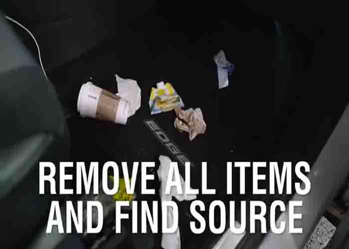 Do a quick search on your car to determine the cause of the bad smell