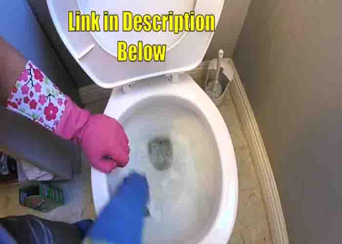 Brushing the toilet bowl clean with soap pads