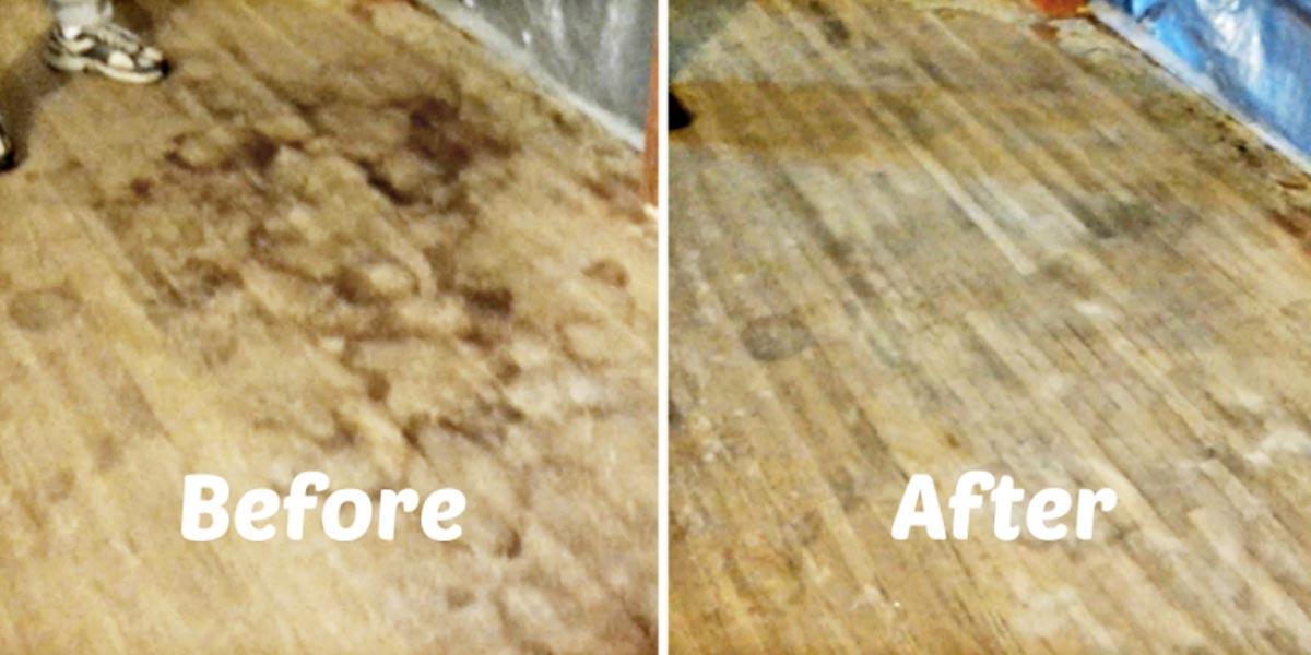 He Shows An Amazing Solution To Removing Dog Urine From Our Precious Hardwood Floors!