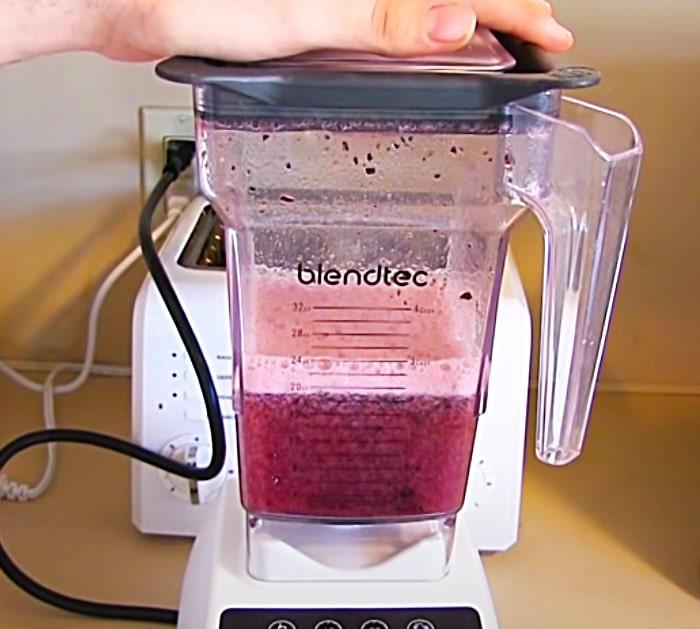 Put Blueberries In A Blender To Harvest Seeds To Make More Plants