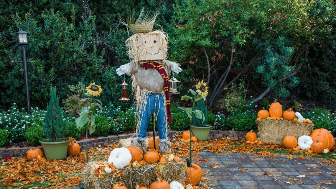 Easy DIY Scarecrow Bird Feeder
