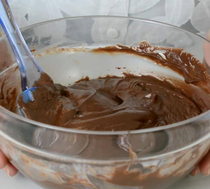 Easy Homemade Chocolate Ice Cream Ingredients