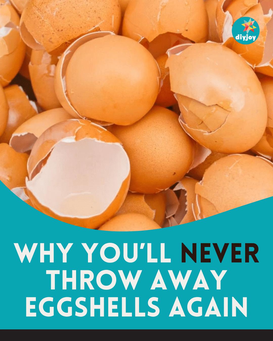 Why You’ll Never Throw Away Eggshells Again