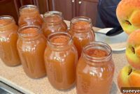 Effortless Peach Moonshine