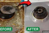 Resurrecting Your Stove: Erasing Ten Years of Grease
