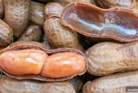 Slow Cooker Deep South Boiled Peanuts