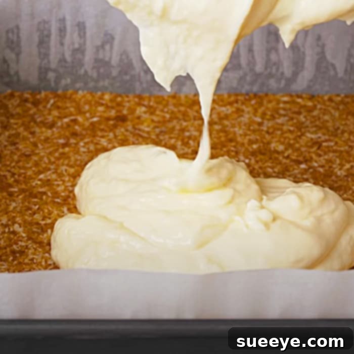 Digestive Biscuit Crust - Creamy Cheesecake Filling - Blueberry Coulis Recipe