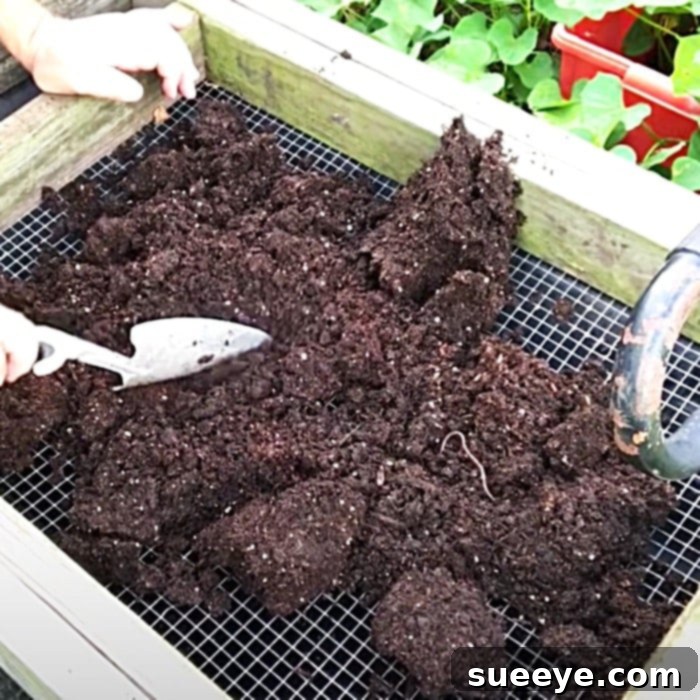 Revitalize Your Potting Soil 2 Easy Way To Reuse Potting Soil - How To Make Soil Rich Again - Growing Food At Home