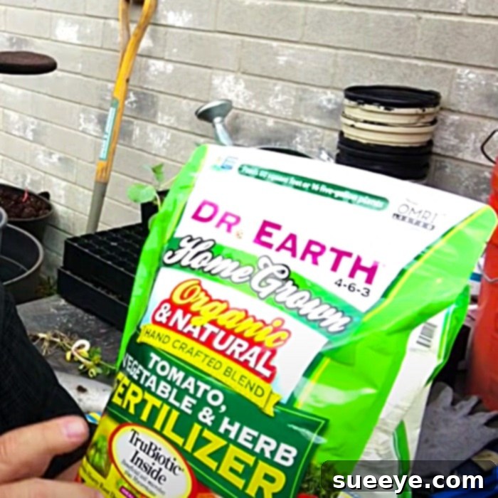 Revitalize Your Potting Soil 3 Reclaimed Potting Soil - How To Reuse Potting Soil - Easy Ways To Refresh Potting Soil