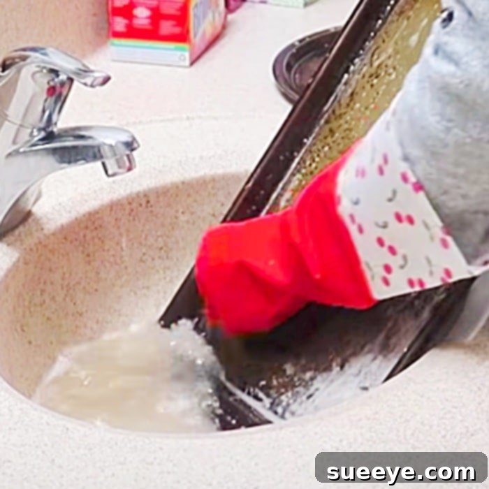 Onion Powder Cleaning Ideas - Sheet Pan Cleaning Methods - How To Clean Bakeware