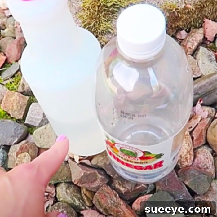 End Your Ant Problem Today 2 How To Kill Ants - Homemade Ant Killer - Natural Pest Control