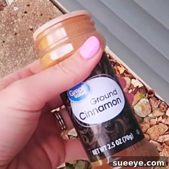 End Your Ant Problem Today 3 Natural Ant Killer - Non Toxic Pest Control - Homemade ant Killer
