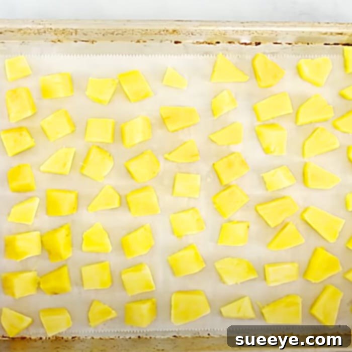 Easy Dessert Recipes - No Fat Dessert Recipe - How To make Sorbet