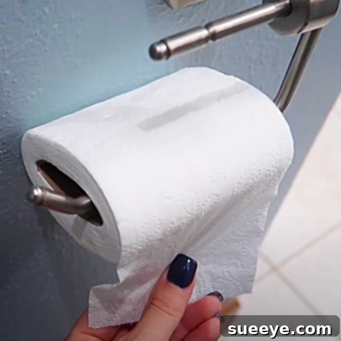 Unconventional Toilet Paper Uses 2 Toilet Paper Hack -Easy Toilet Paper Conservation - Save Toilet Paper