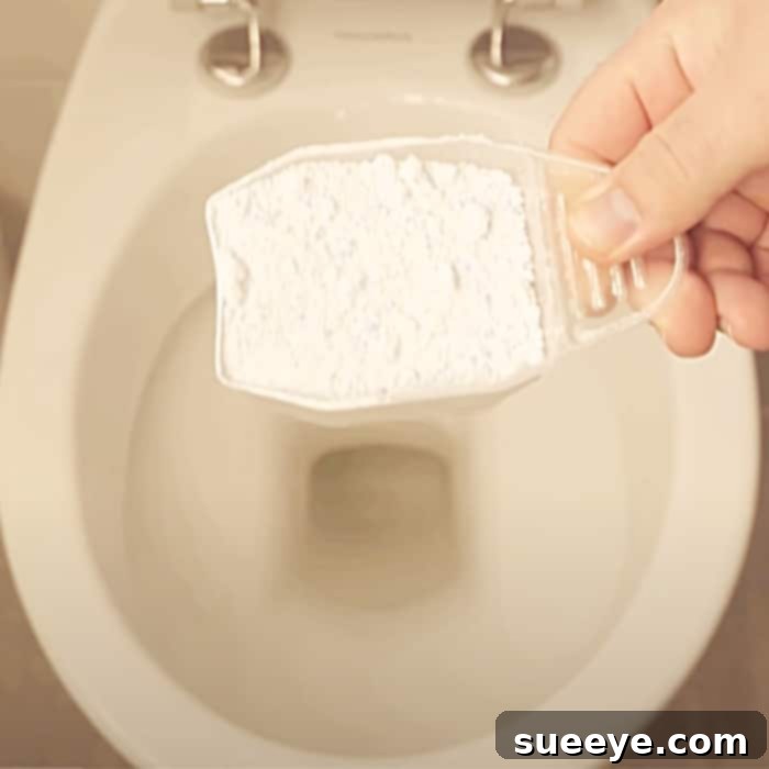 The Laundry Detergent Toilet Hack 2 How To Clean A Toilet With Laundry Powder - Toilet Cleaning Hacks - Bathroom Cleaning Hacks