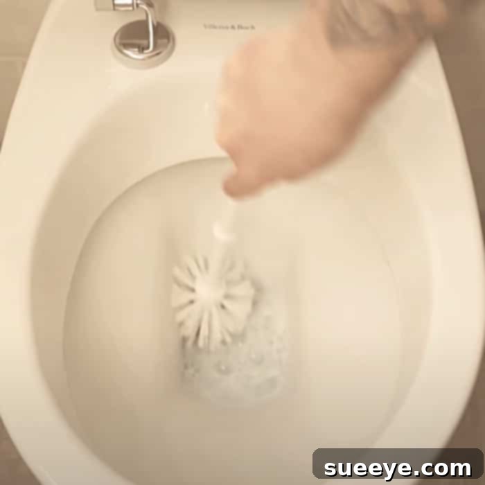 The Laundry Detergent Toilet Hack 3 How To Clean A Toilet With Laundry Powder - Toilet Cleaning Hacks - Bathroom Cleaning Hacks