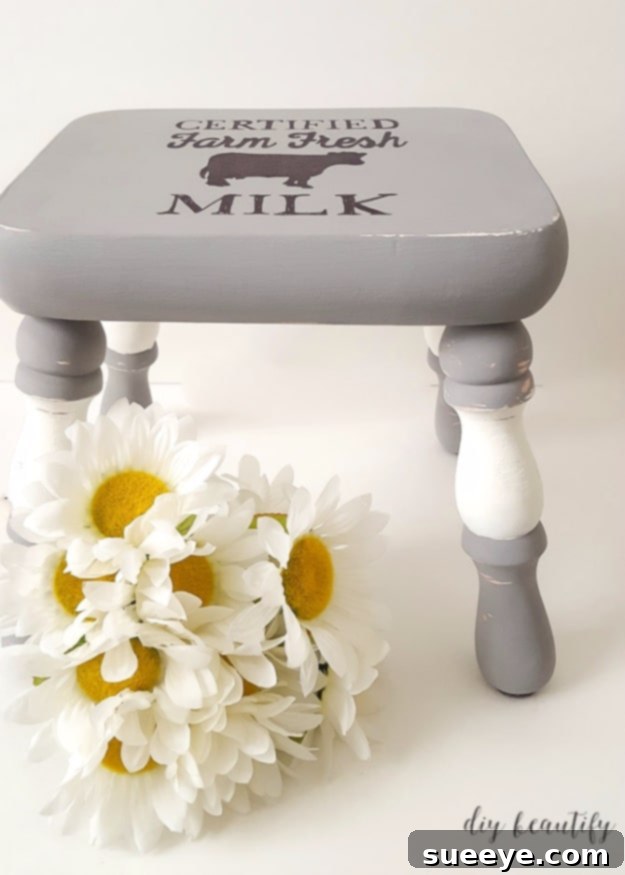 DIY Farmhouse Style Decor Ideas - Farmhouse Style Stool - Creative Rustic Ideas for Cool Furniture, Paint Colors, Farm House Decoration for Living Room, Kitchen and Bedroom #diy #diydecor #farmhouse #countrycrafts DIY Farmhouse Style Decor Ideas - Farmhouse Style Stool - Creative Rustic Ideas for Cool Furniture, Paint Colors, Farm House Decoration for Living Room, Kitchen and Bedroom #diy #diydecor #farmhouse #countrycrafts