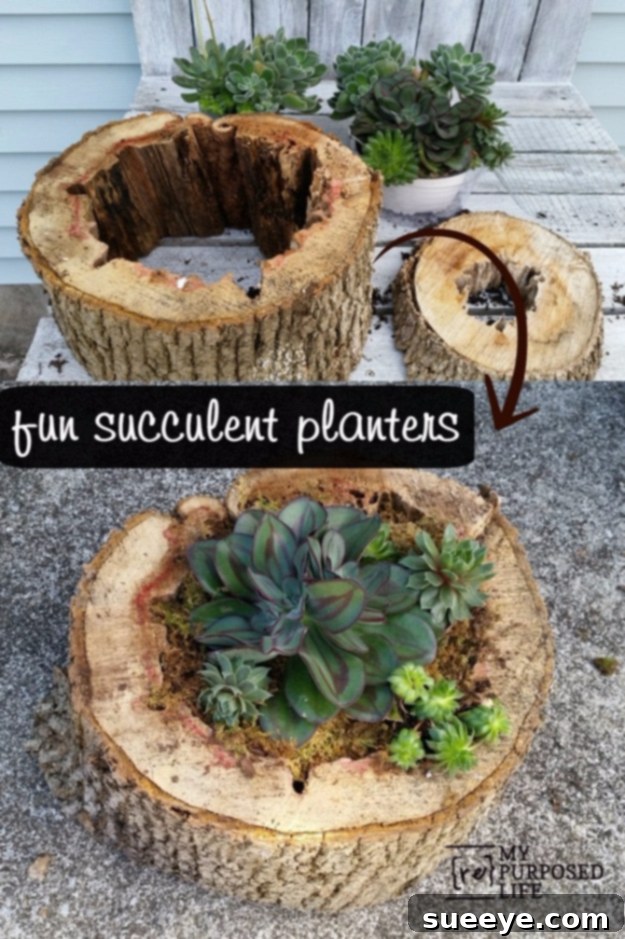 Tree Trunk Succulent Planter Unique succulent planter made from repurposed rotten tree trunk pieces