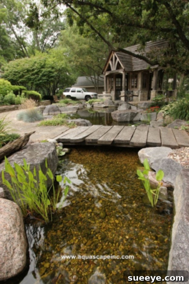 Backyard Pond Paradise Creating a tranquil backyard pond paradise for wildlife and relaxation