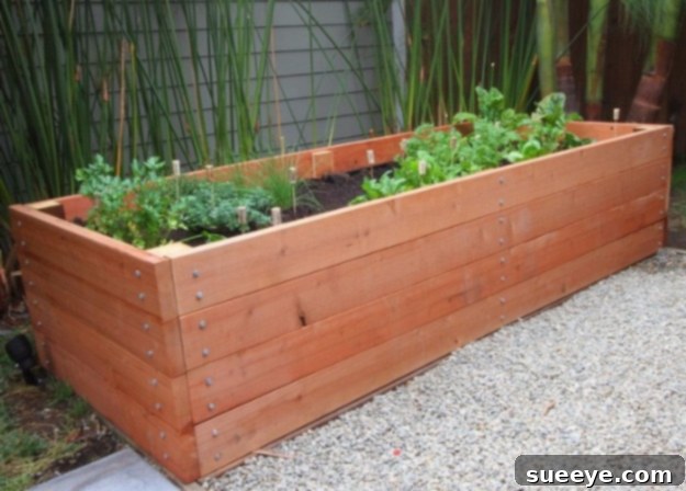 DIY Raised Bed Planter Step-by-step guide to build a wooden raised garden bed planter