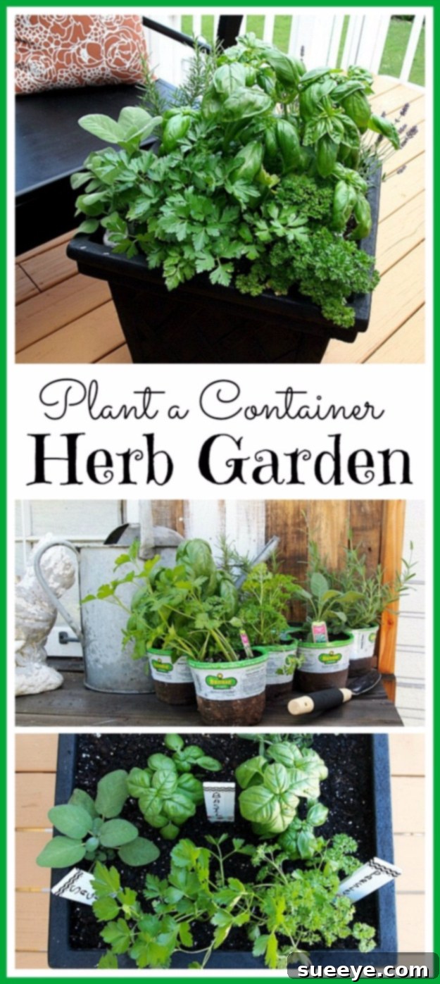 Container Herb Garden Tips for planting a fragrant and functional container herb garden