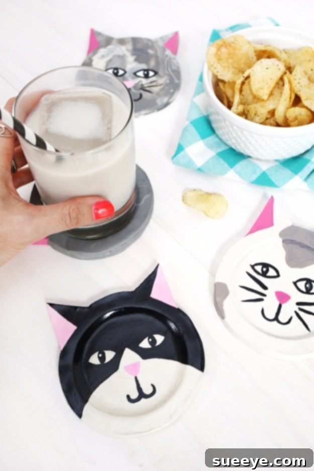 Clay Kitty Coaster DIY Clay Kitty Coaster DIY