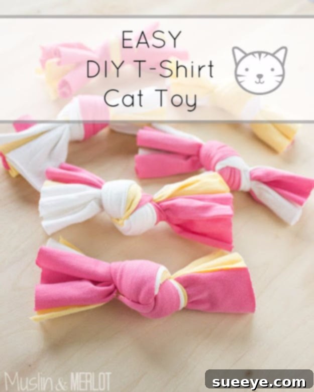 Craft a simple and fun T-shirt toy for your cat Easy DIY T-Shirt Cat Toy made from recycled fabric for playful felines