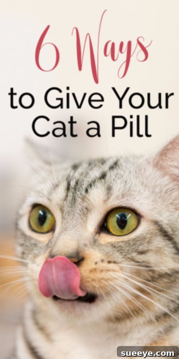 Learn 6 effective ways to give your cat a pill 6 Ways To Give Your Cat A Pill, effective medication tips for owners