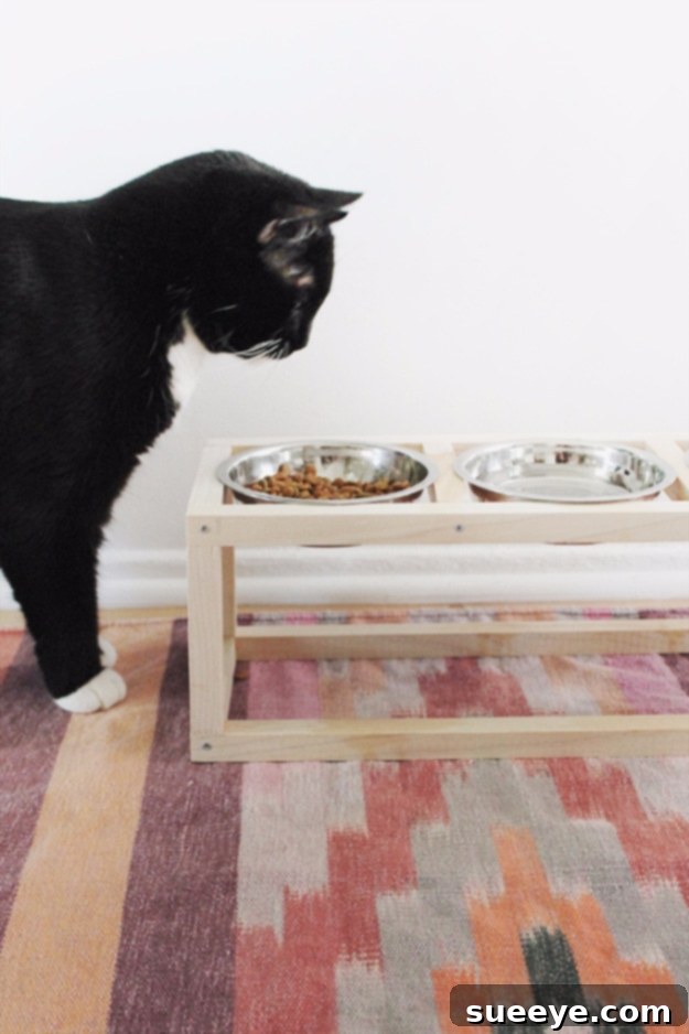 Build a modern elevated pet bowl stand DIY Modern Pet Bowl Stand for elevated feeding and improved digestion