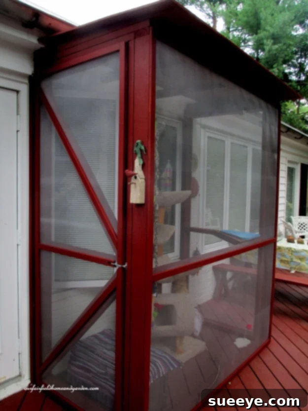 Construct a safe and fun catio for outdoor access Build A Catio For Your Cats, a safe and enriching outdoor enclosure