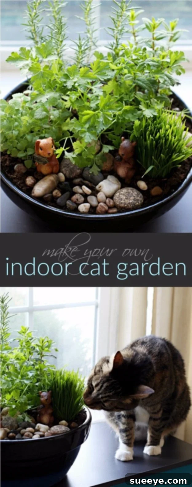 Grow a healthy indoor catnip garden for your pet DIY Indoor Catnip Garden for natural feline enrichment and digestion