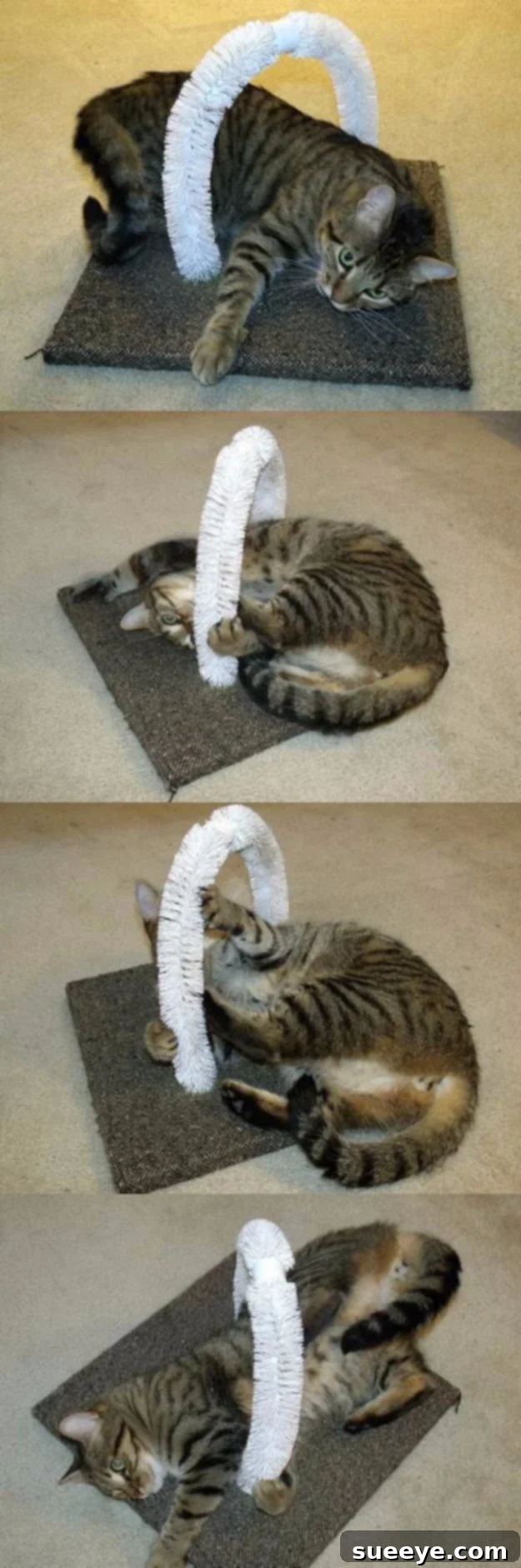 Build a fun self-petting station for your cat DIY Self Petting Station For Your Cats, offering continuous sensory enjoyment
