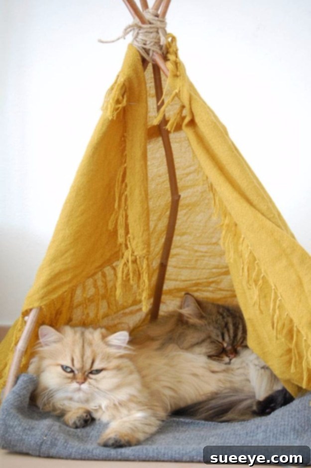 Craft a cozy and cute cat teepee DIY Cat Teepee, a charming and private hideaway for your pet