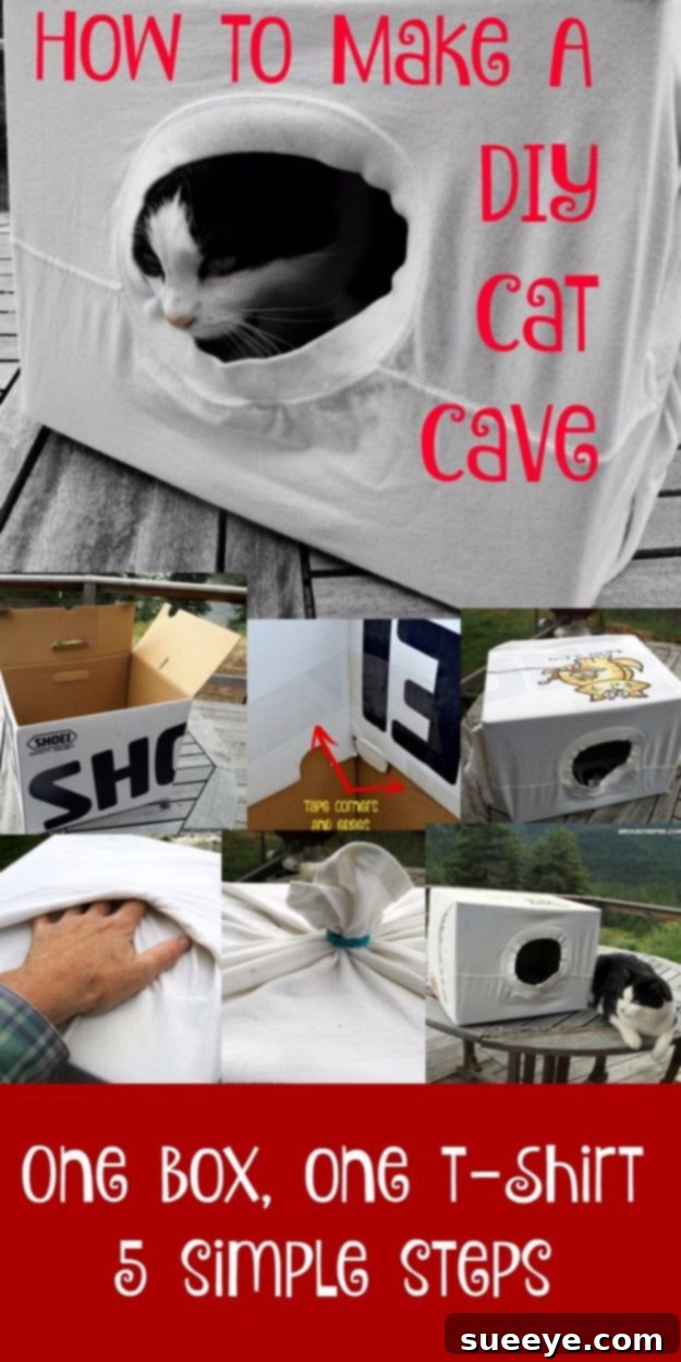 Build a simple and snug cat cave Easy DIY Cat Cave, a cozy and private sanctuary for feline comfort