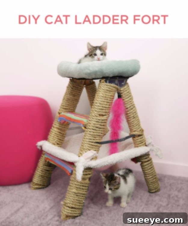 Build a fun and stimulating cat ladder fort DIY Cat Ladder Fort for adventurous felines, offering climbing and perching