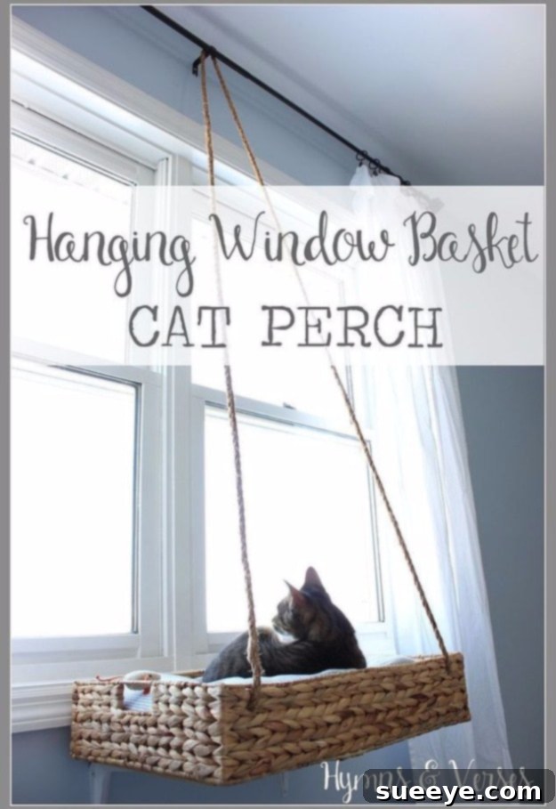 Craft a cozy hanging window perch for your cat DIY Hanging Window Basket Cat Perch for sunbathing and bird-watching