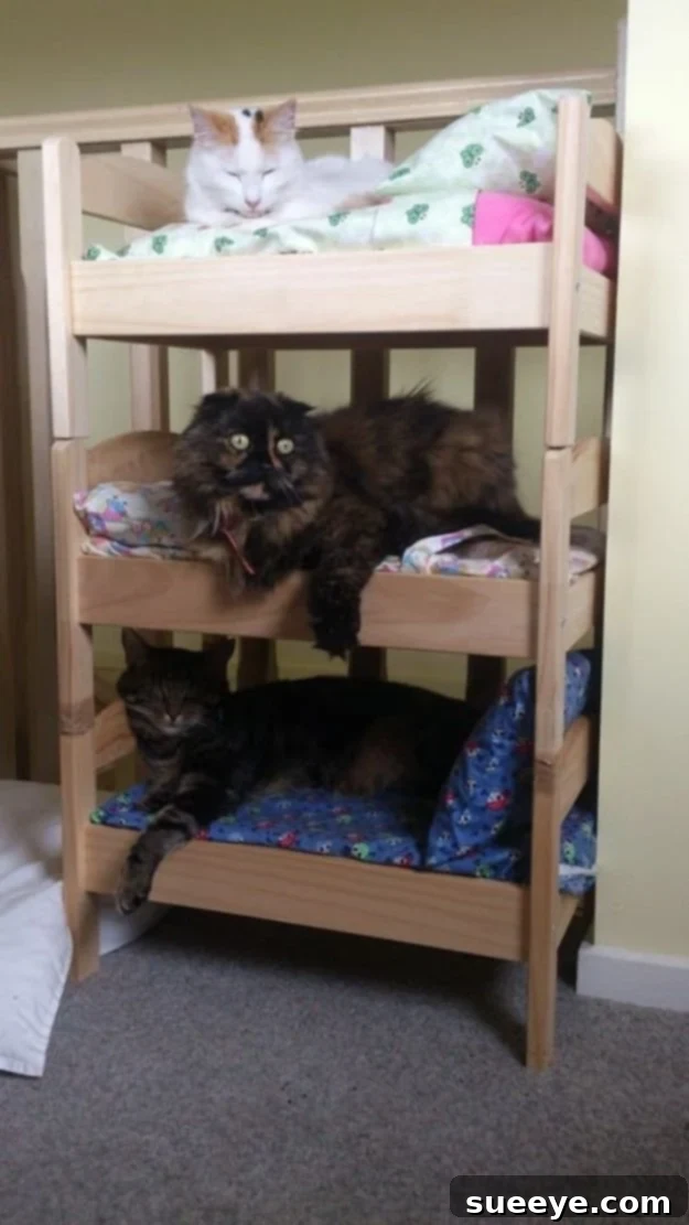 Repurpose an IKEA doll bed into a comfortable cat bed DIY Cat Bed created from an IKEA doll bed, stylish and cozy