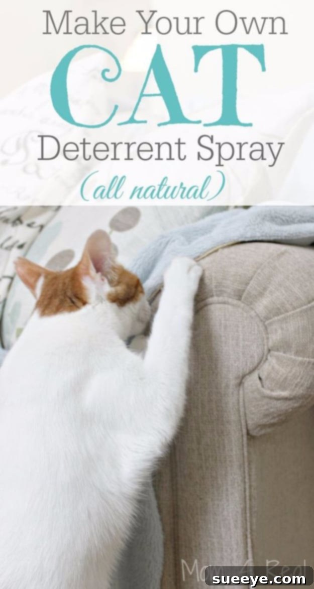 DIY natural cat deterrent spray recipe Make Your Own Cat Deterrent Spray to protect furniture and deter scratching