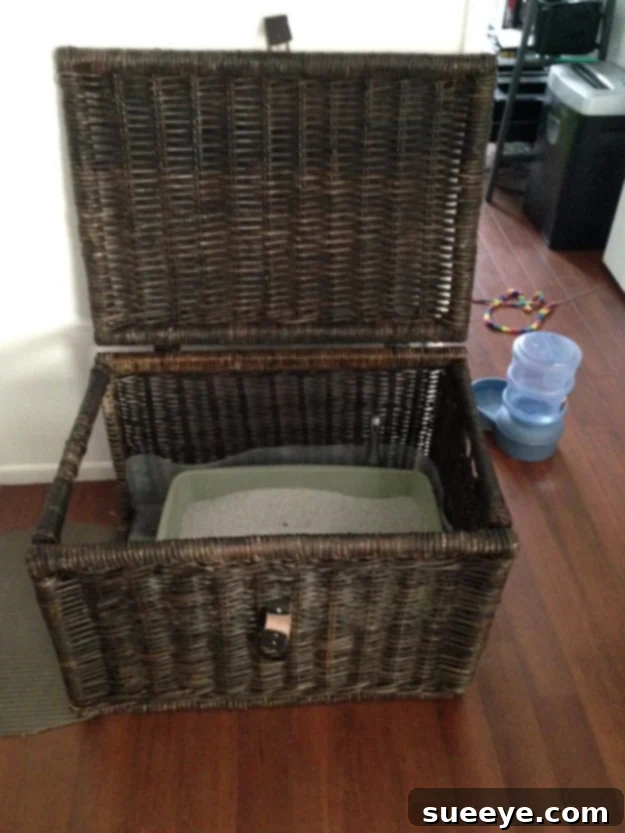 Conceal your cat's litter box in a decorative chest Hide The Litter Box Inside A Chest for a discreet and tidy solution
