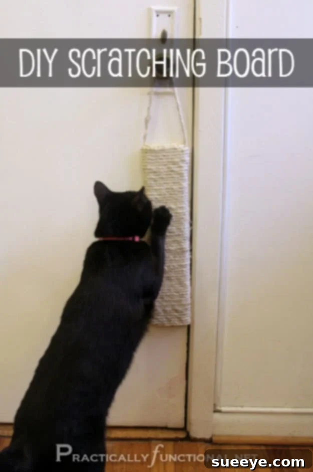Craft a durable sisal scratching post for your cat DIY Sisal Scratching Post for healthy claw maintenance and furniture protection